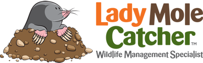 Lady Mole Catcher