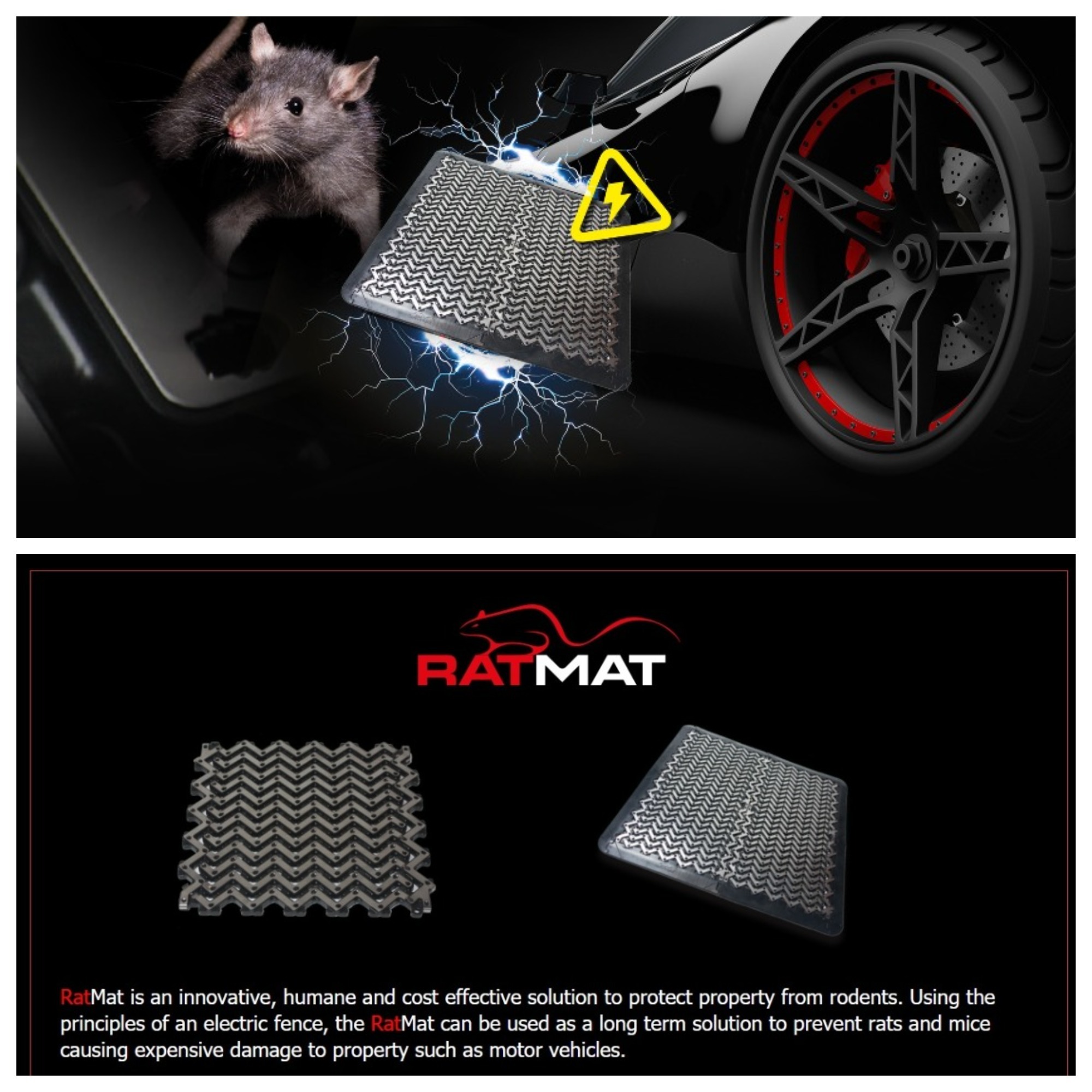 Protect Your Vehicle from Rodent Damage this Winter