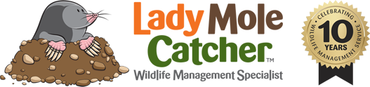 Lady Mole Catcher